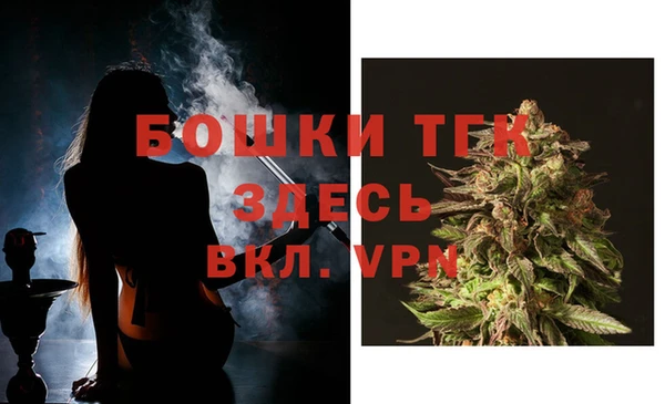 винт Горняк