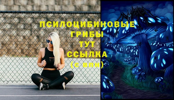 спиды Горнозаводск