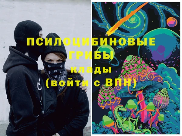 спиды Горнозаводск