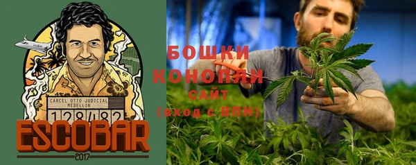 соль курить ск Горно-Алтайск