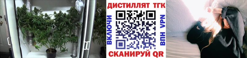 ТГК THC oil  купить  цена  Кисловодск 