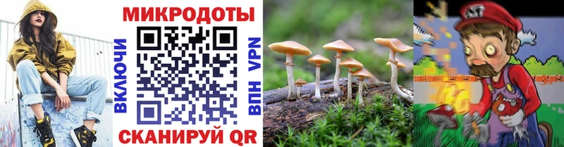 Галлюциногенные грибы MAGIC MUSHROOMS  Кисловодск 